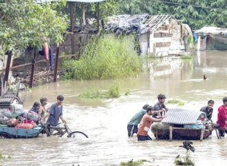 శాంతించని యమున